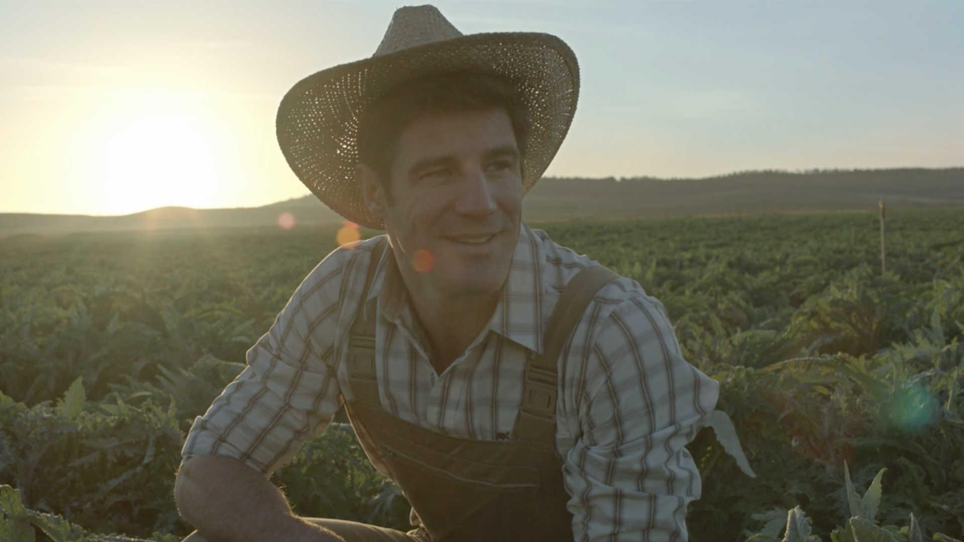 Anuncios de comida que son horripilantes