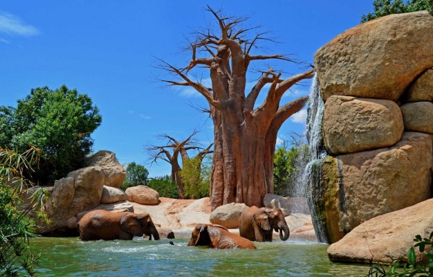 Rain Forest, la firma que gestiona el Bioparc, dirigirá también el BioDomo de Andalucía