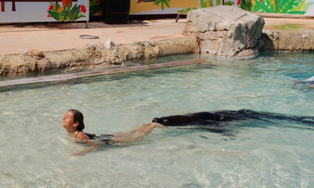Eligen Magic Natura como mejor hotel de España y 12º del mundo para viajar en familia