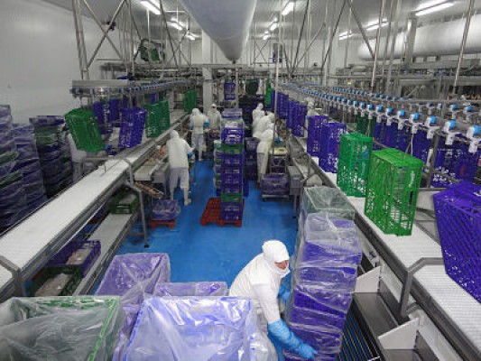 Avinatur, interproveedor de Mercadona, abre 2018 con 730 trabajadores y planes para diversificar