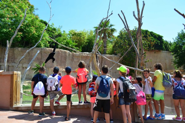 Grupo Fuertes iguala la oferta por su suelo en la subasta y se quedará la parcela de Terra Natura  