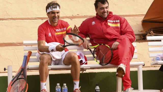 David Ferrer, 