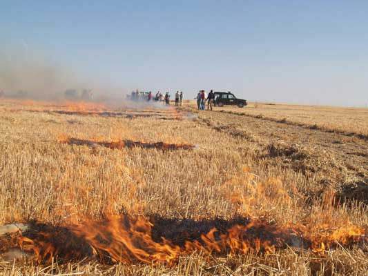 Quema controlada. Foto: EFE - 