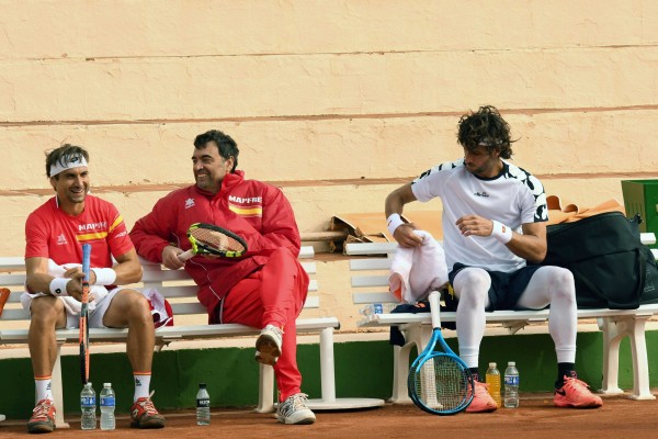 David Ferrer: 