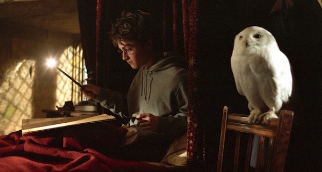 Harry Potter y la catástrofe de las lechuzas