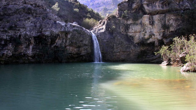 Dones d’aigua
