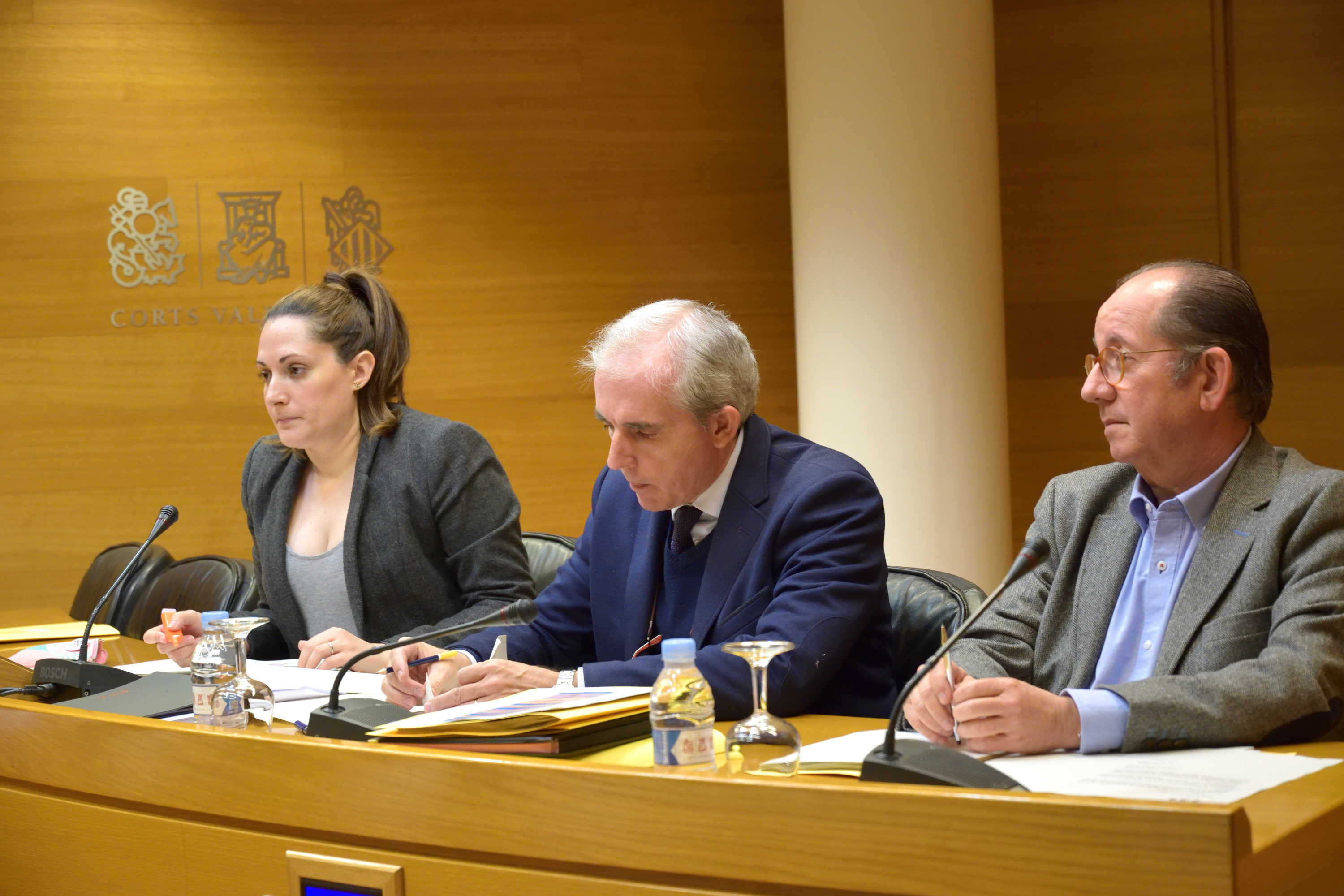 La Comisión de Educación de Les Corts da luz verde a la ley sobre plurilingüismo